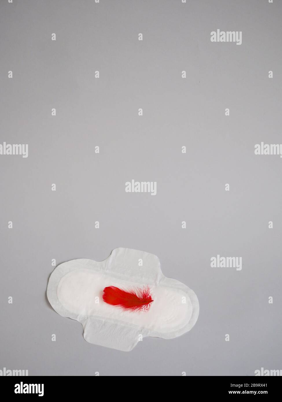 Cuscinetto mestruale con piuma rossa su sfondo grigio. Concetto di fotografia minimalista. Donne giorni critici, ciclo di mestruazione ginecologica. Foto Stock