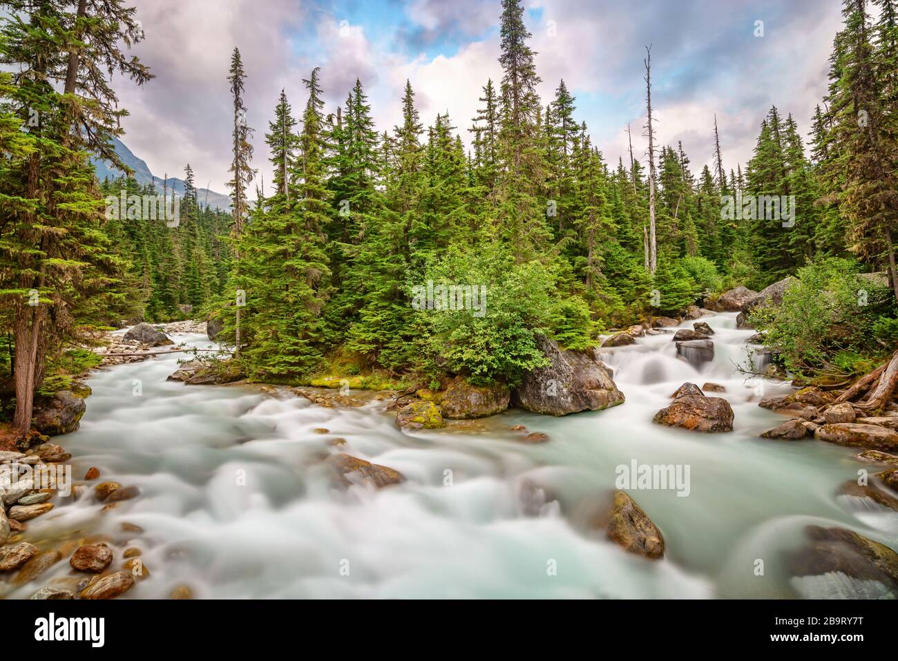 Paesaggio del torrente di montagna nel Parco Nazionale del Glacier, Montagne Rocciose, Bridish Columbia, Canada Foto Stock