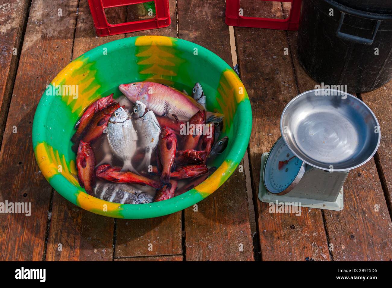 Mercato del pesce sulle isole di capo verde con dentini rossi e bianchi in una ciotola e una scala Foto Stock