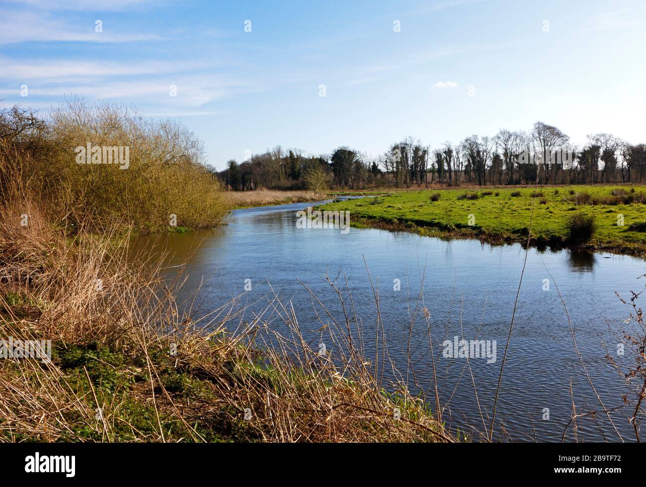 Una vista del fiume Wensum che attraversa la campagna a Ringland, Norfolk, Inghilterra, Regno Unito, Europa. Foto Stock