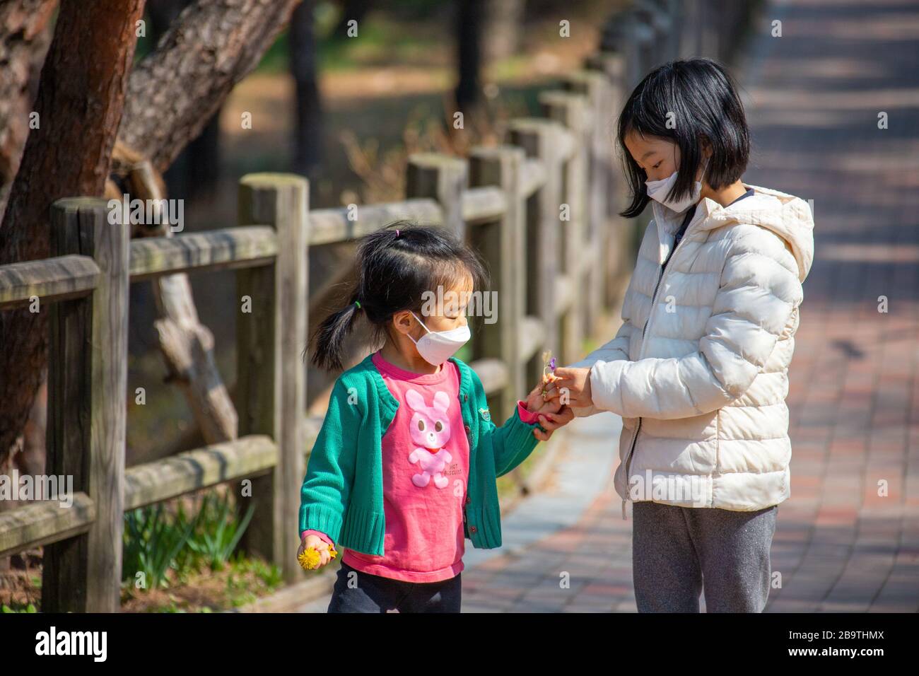 Sorelle che condividono i fiori durante la pandemia di Coronavirus, Seoul, Corea del Sud Foto Stock