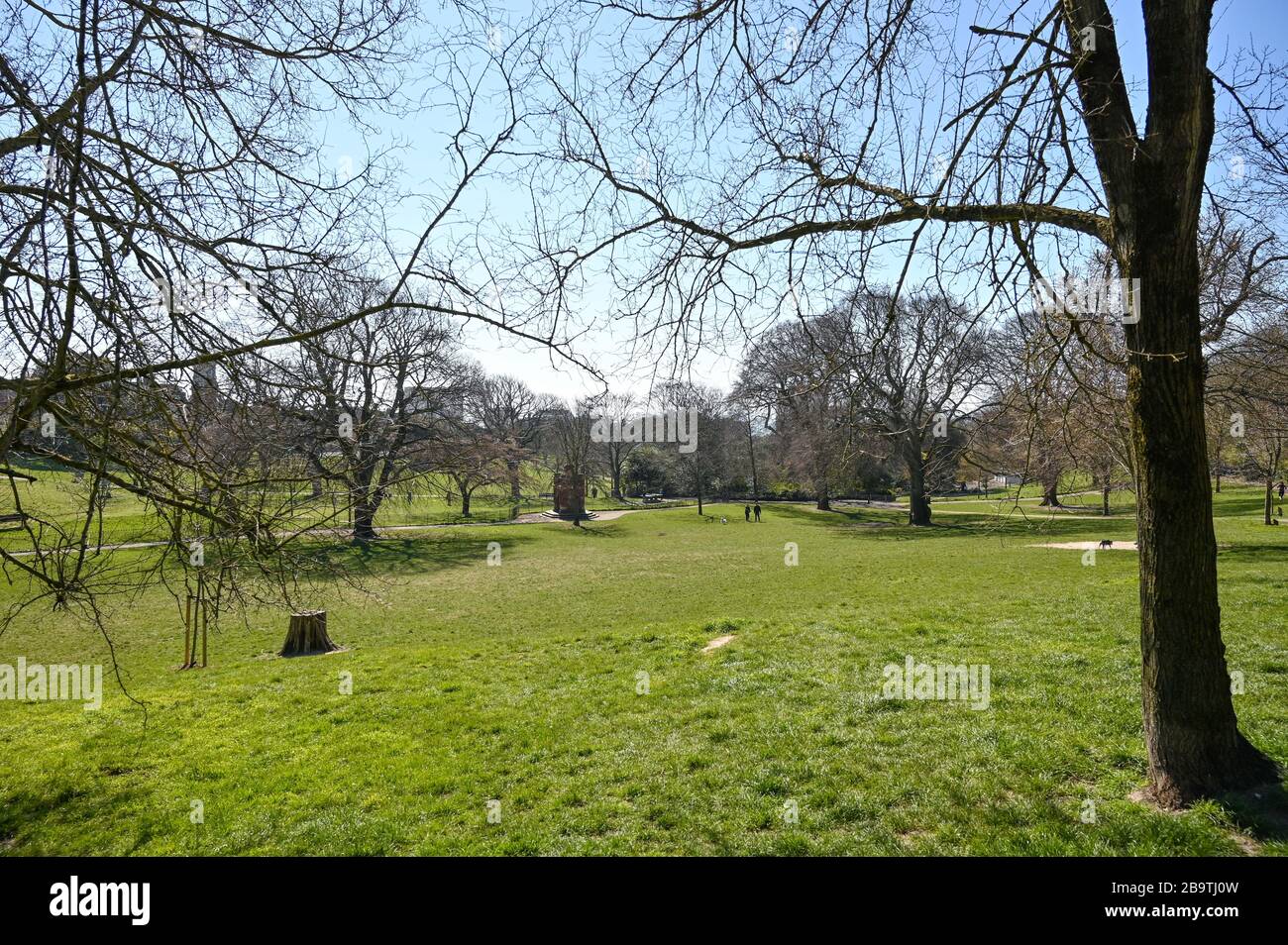Brighton UK 25 marzo 2020 - Queens Park a Brighton, che è normalmente occupato con i cani e le famiglie è tranquilla oggi, come i governi di blocco restrizioni continuano durante la crisi pandemica Coronavirus COVID-19 . Credit: Simon Dack / Alamy Live News Foto Stock