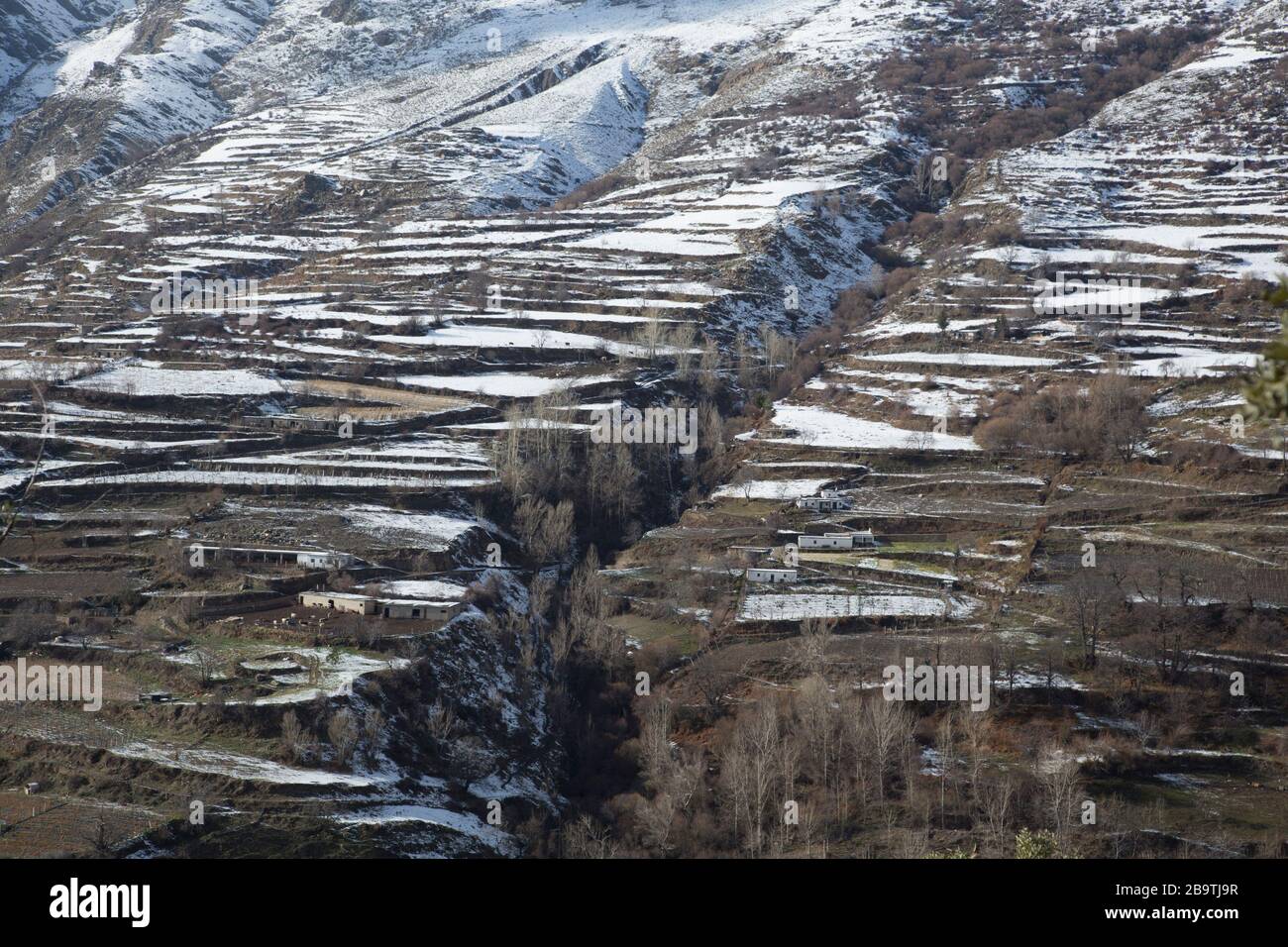 Paesaggio invernale di una collina terrazzata utilizzata per l'agricoltura, Trevelez, provincia di Granada, Andalusia, Spagna Foto Stock