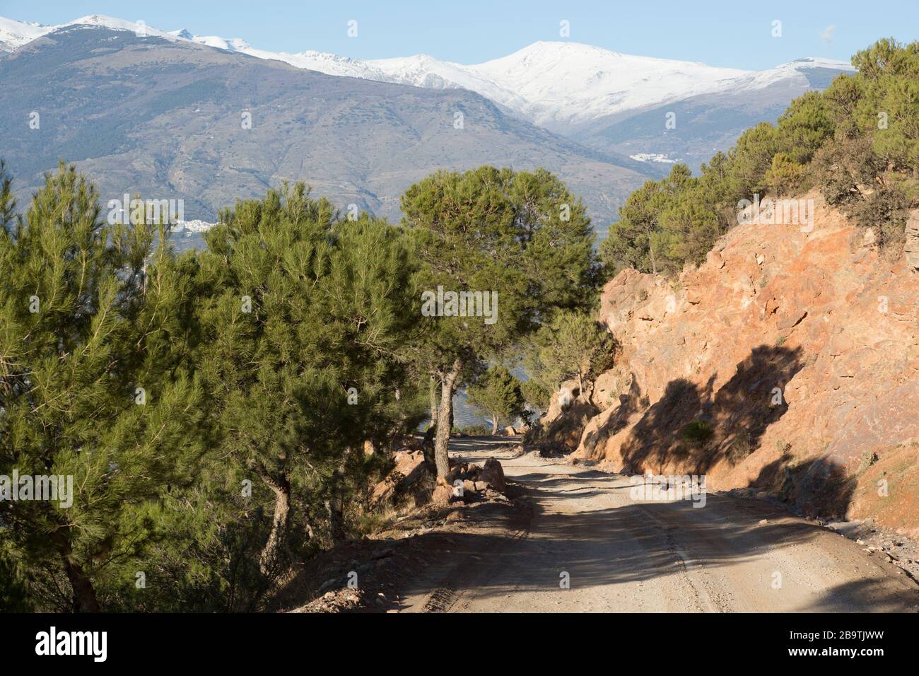 Pista di montagna e alberi di pino nella Sierra Lujar con vista verso la montagna di Mulhacein innevata in Sierra Nevada. Órgiva, Andalusia, Spagna Foto Stock
