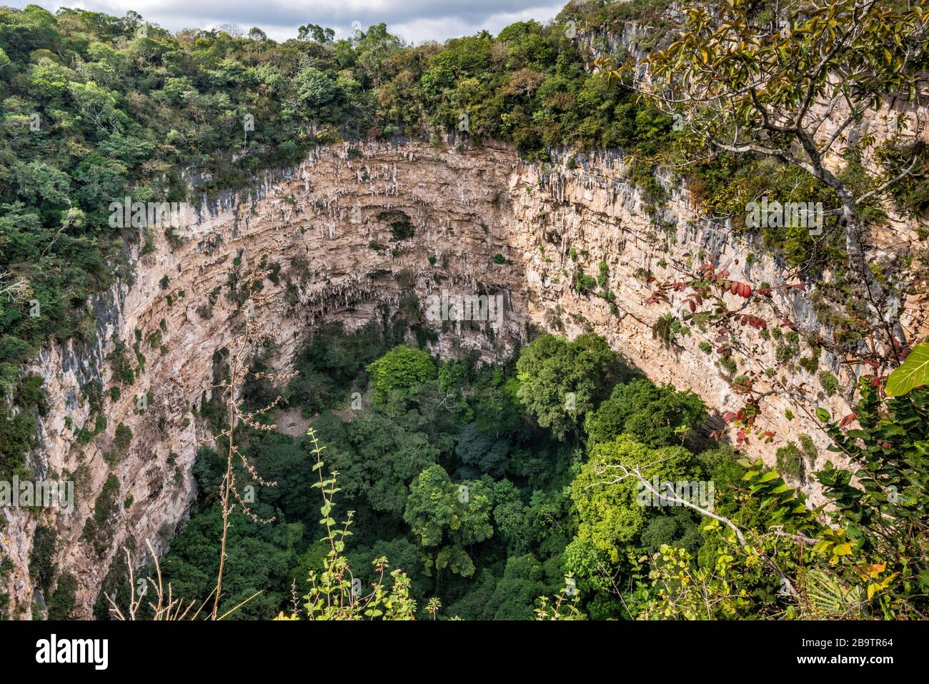 Lima de las Cotorras (Sinkhole dei Parrots), sinkhole vicino Ocozocoautla, Chiapas, Messico Foto Stock