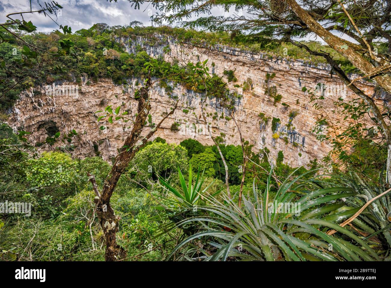 Lima de las Cotorras (Sinkhole dei Parrots), sinkhole vicino Ocozocoautla, Chiapas, Messico Foto Stock