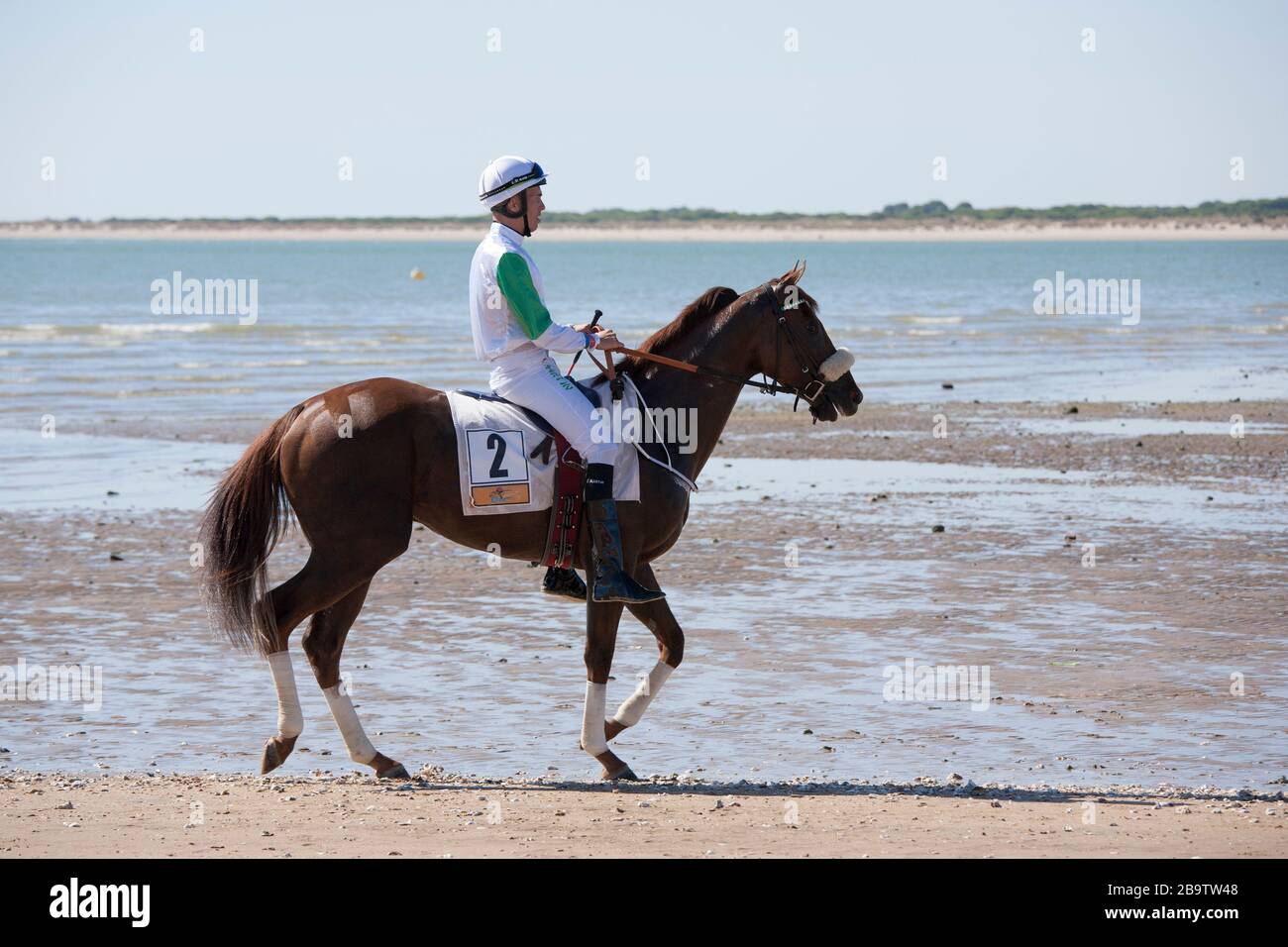 Un cavallo e un cavaliere al meeting annuale di agosto horserace correre sulla spiaggia a Sanlucar de Barrameda, Cadice, Spagna. 3rd agosto 2017. Foto Stock