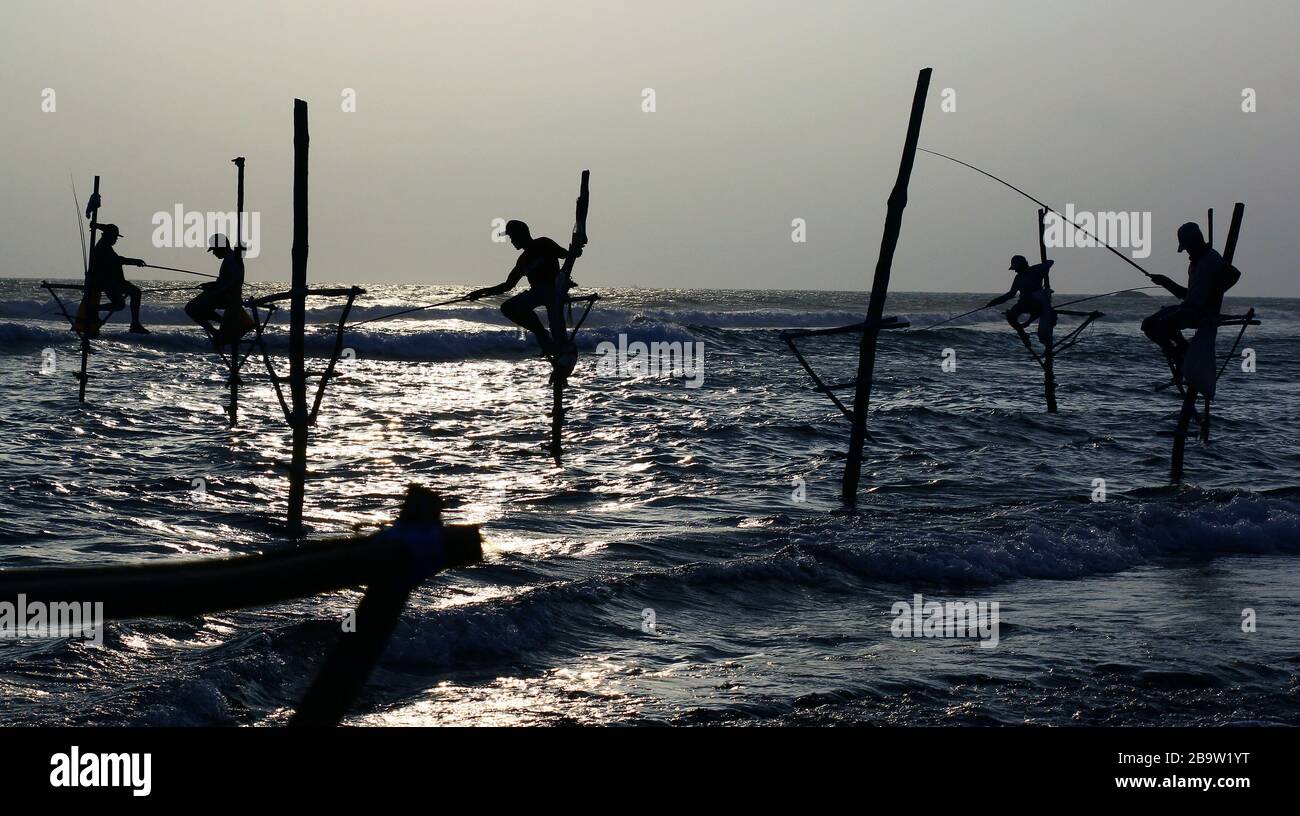 Stilt pescatori dello Sri Lanka Foto Stock