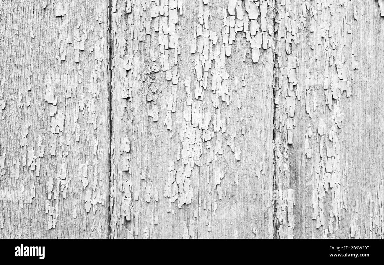 Vecchio muro di legno bianco grungo con peeling vernice, sfondo foto texture Foto Stock