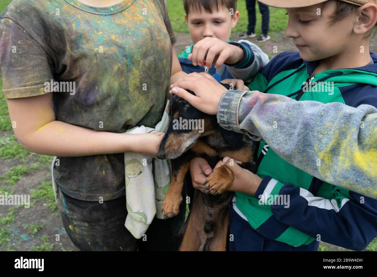 Regione di Chelyabinsk, Russia - LUGLIO 2019. Alla festa dei colori, i bambini accarezzano il cane con le mani. La testa del cane è cosparsa di vernice Foto Stock