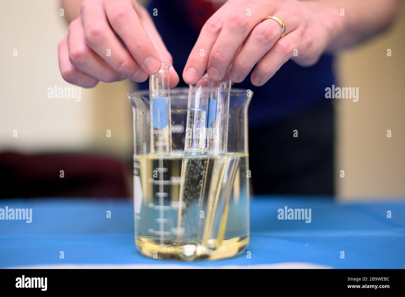 Gli effetti della rifrazione sono mostrati in una dimostrazione pratica di esperimento STEM al festival della scienza. Foto Stock