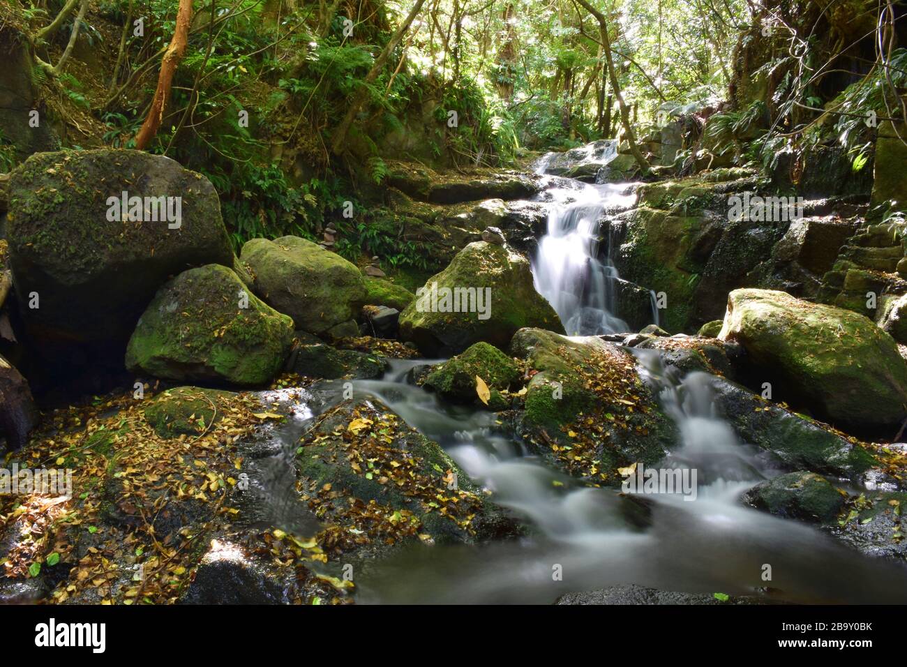 Piccola cascata amongs rocce nella riserva Hinewai Banks penisola Nuova Zelanda Foto Stock