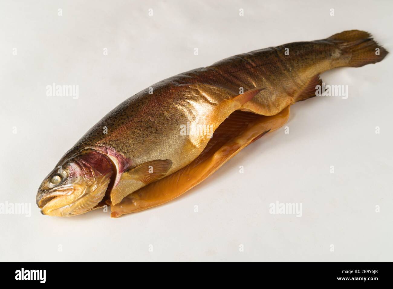 Pesce affumicato freddo. Trota fluviale, arcobaleno, oro, lago, freddo Karelian affumicato su sfondo bianco Foto Stock