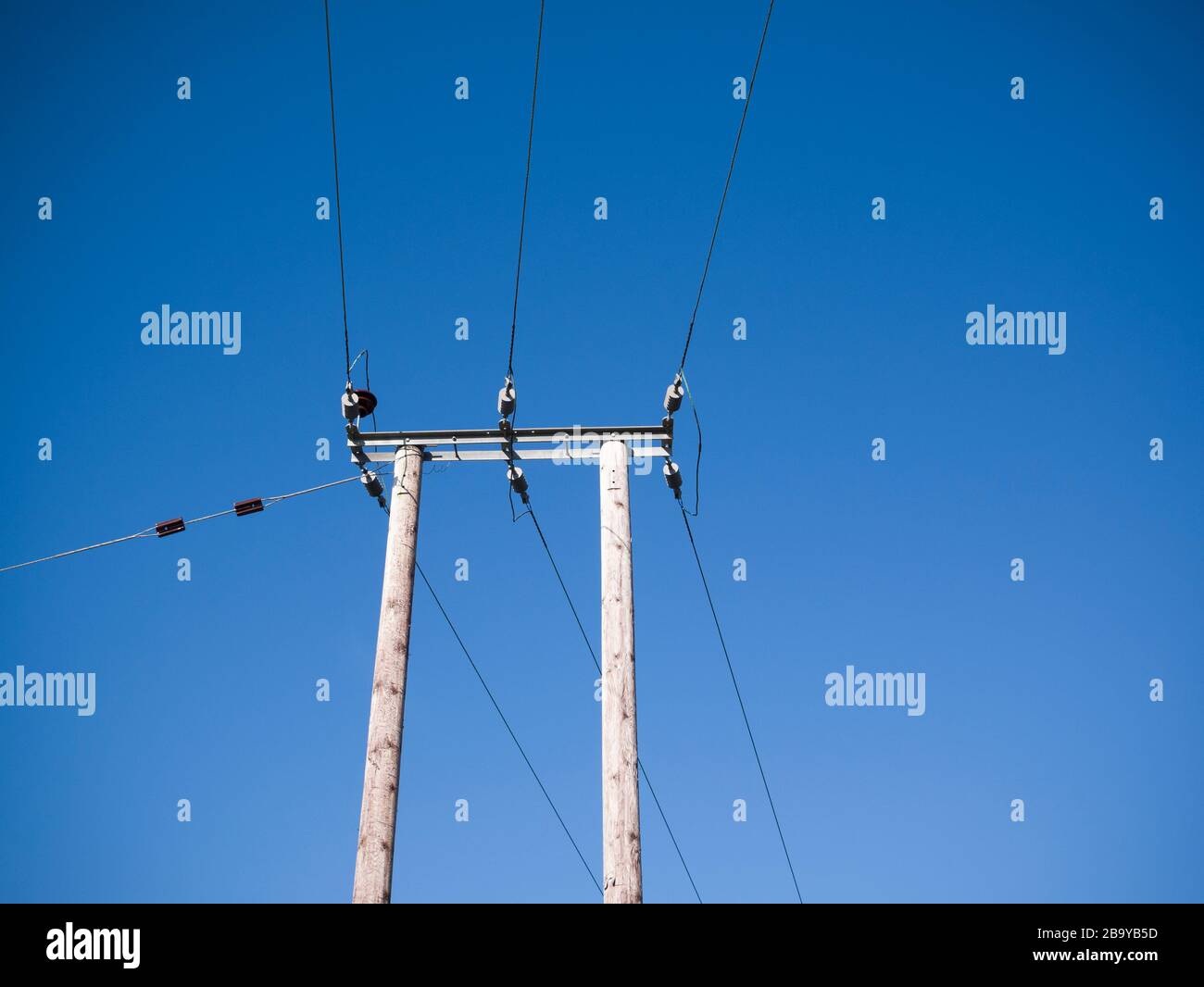 Cavi di distribuzione dell'elettricità trifase ad alta tensione da 33 kv montati su palo in legno. Foto Stock