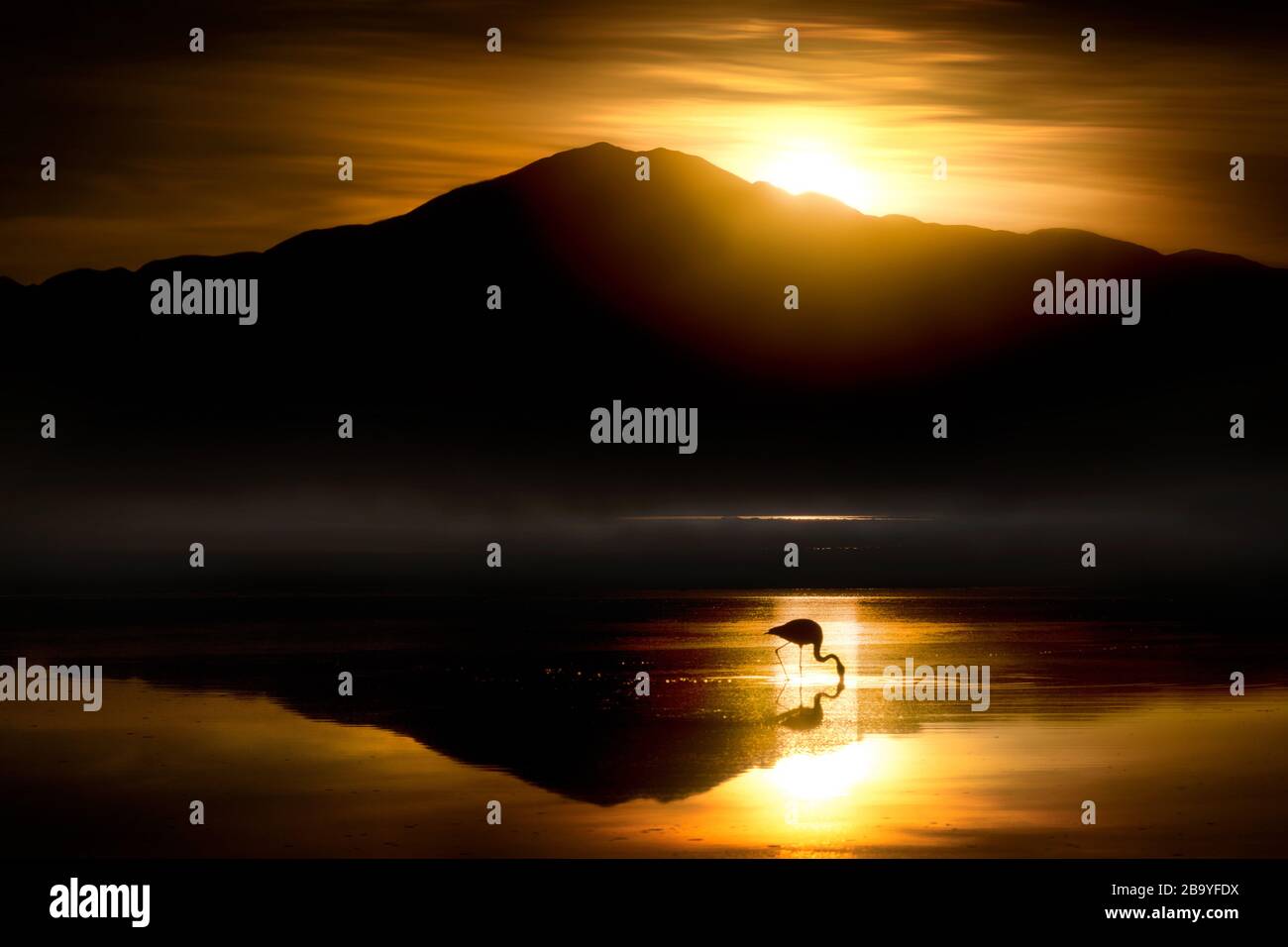 Tramonto con fenicotteri sulla laguna di Chaxa, deserto di Atacama, Cile, Sud America Foto Stock