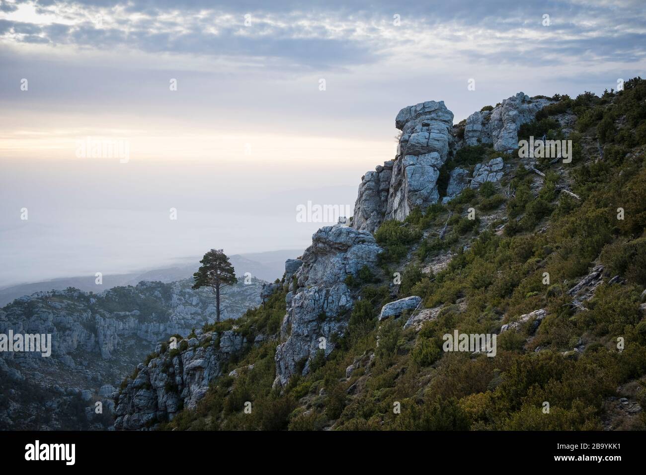 Paesaggio roccioso al Parco Naturale Els Ports. Catalogna. Spagna. Foto Stock