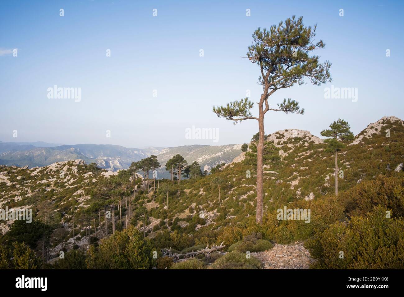 Paesaggio roccioso al Parco Naturale Els Ports. Catalogna. Spagna. Foto Stock