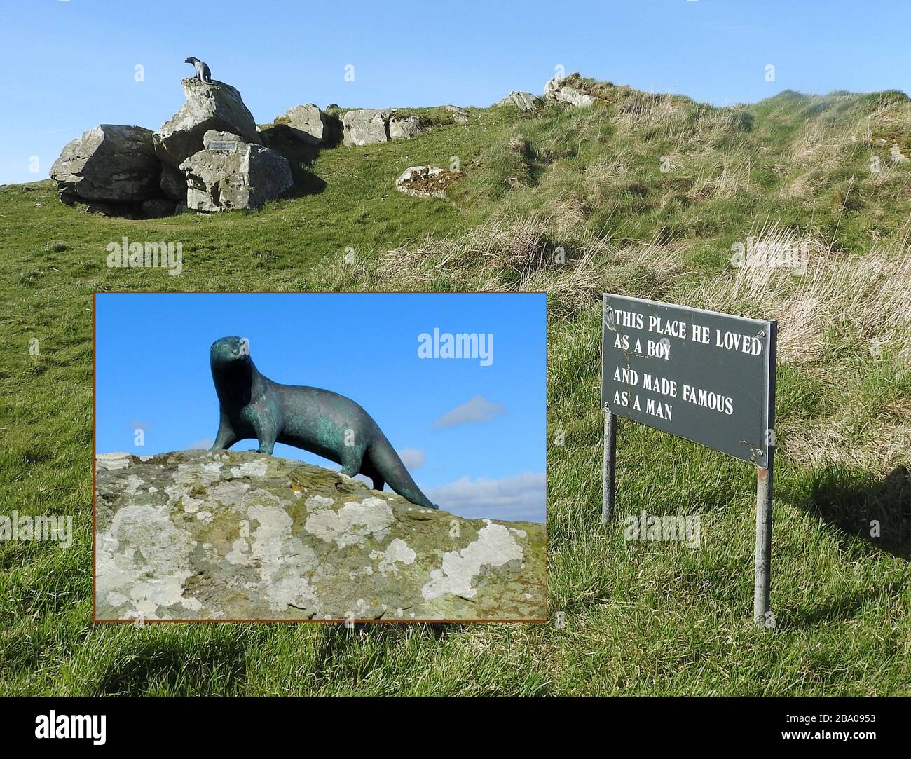 Maxwells Otter - una lapide commemorativa (vicino all'insetto della statua della lontra ) per l'autore e naturalista Gavin Maxwell 1914-1969, autore del libro e film successivo 'Ring of Bright Water' situato vicino Monrieth, Wigtownshire, Scozia. La statua della lontra si affaccia su Front Bay Foto Stock