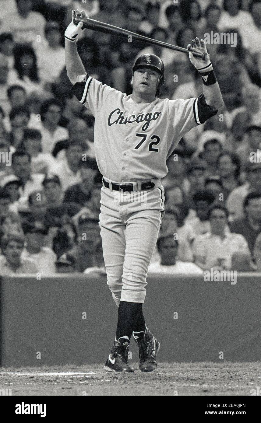 Chicago White Sox 72 Carlton Fisk si allunga prima di andare contro il Boston Red Sox Pitch Roger Clemens al Fenway Park a Boston ma USA 1997 foto di Bill belknap Foto Stock