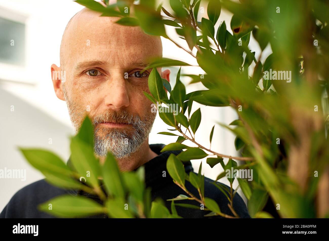 Artista musicale, produttore e attivista per i diritti degli animali, Moby al suo ristorante Little Pine a Los Angeles, California. Foto Stock