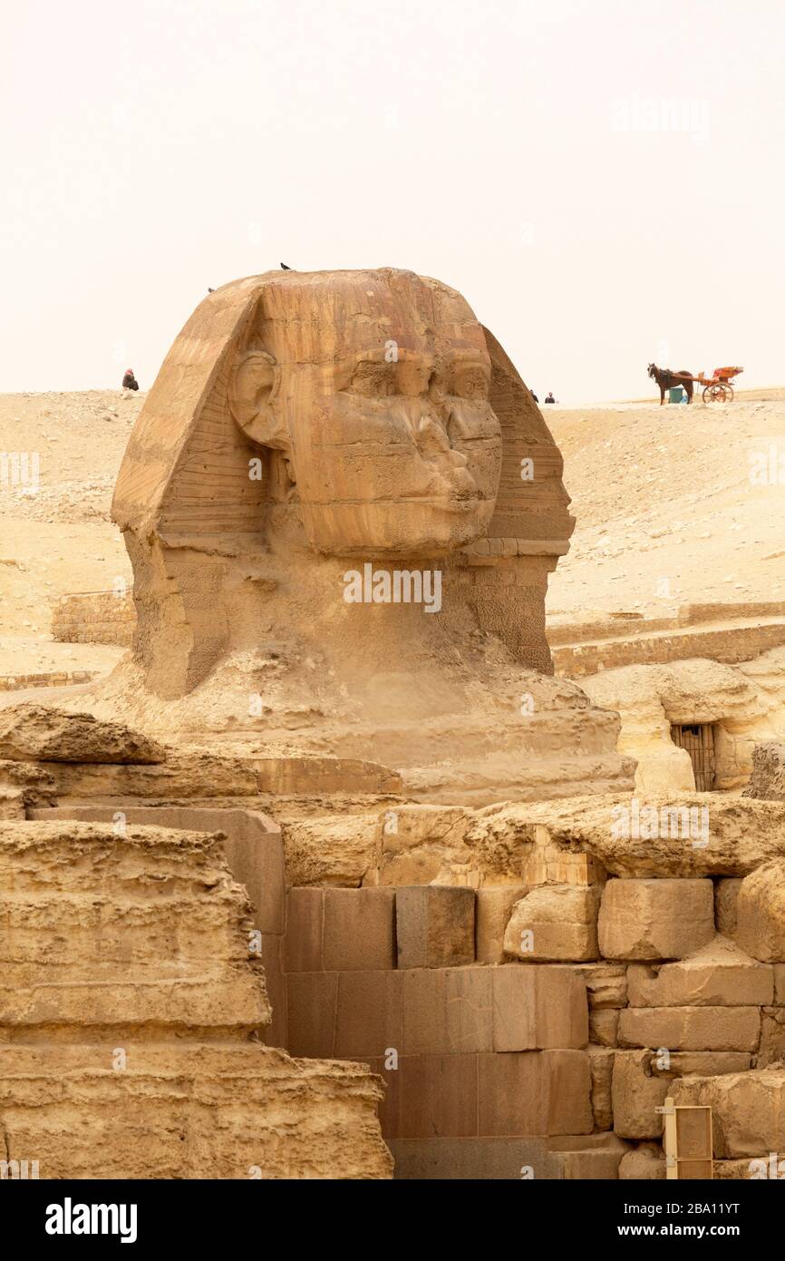 Faccia della Grande Sfinge di Giza, presso la Grande Piramide di Khufu, all'Altopiano di Giza al Cairo, Egitto. I carrelli trafilati in cavalli si trovano dietro l'icona/ Foto Stock