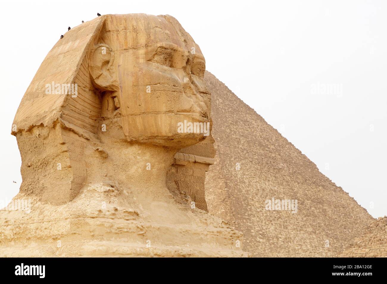 La Grande Sfinge di Giza, presso la Grande Piramide di Khufu, all'Altopiano di Giza al Cairo, Egitto. Si pensa che lo sfinge abbia più di 4,500 anni. Foto Stock