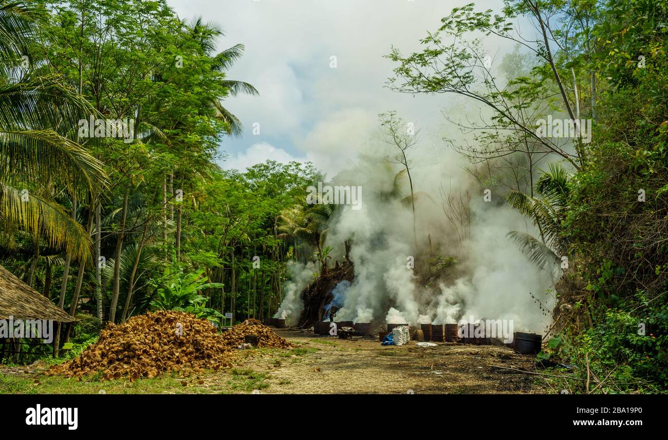Contadini locali che bruciano carichi di conchiglie di cocco essiccate in barili. Fumo massiccio e foschia nella foresta tropicale vicino Pangandaran, Giava occidentale, Indonesia. CO2 Foto Stock
