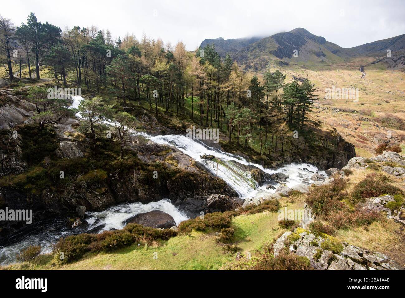 Fiume di schiumosità bianco, che scorre velocemente, sburlando sopra i massi, con alberi di pino e montagne aspre in lontananza Foto Stock