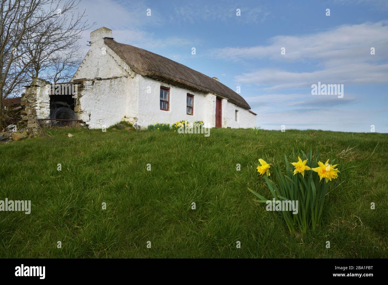 Tradizionale cottage con tetto di paglia nella campagna irlandese in una luminosa mattinata primaverile. Foto Stock