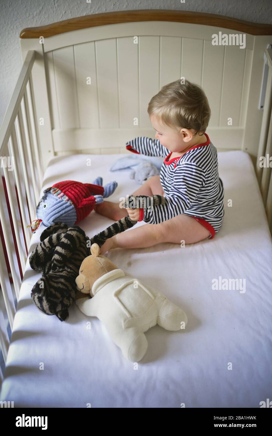 Baby Boy che gioca con i giocattoli morbidi in culla Foto Stock