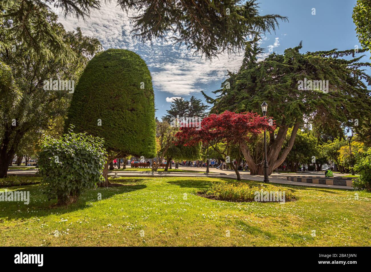 Scene di Punta Arenas Foto Stock