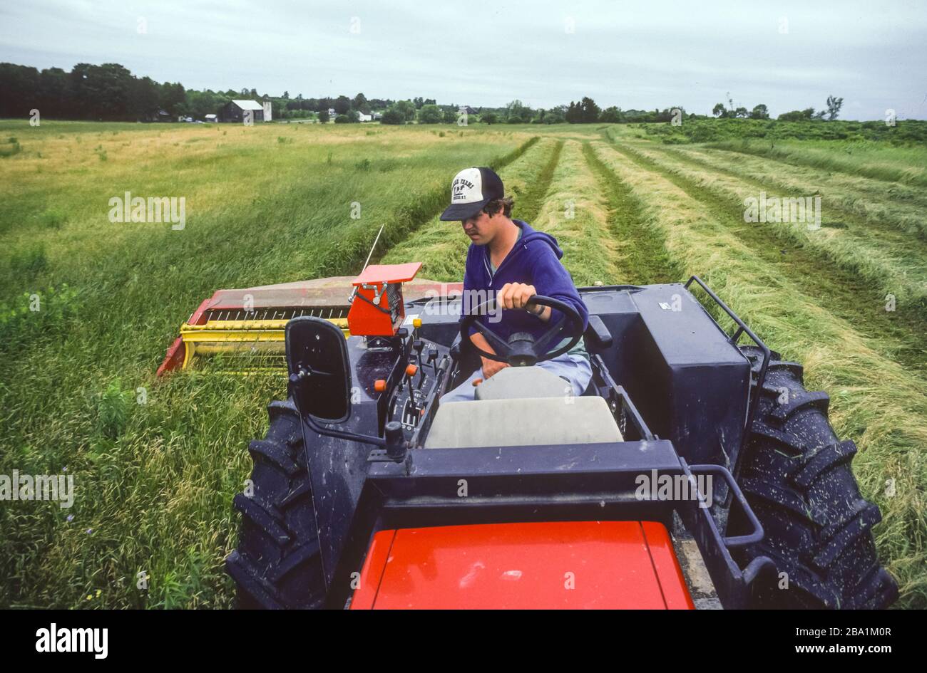 OSWEGO COUNTY, NEW YORK, USA, AGOSTO 1986 - Farmer su trattore di taglio fieno alla fattoria in città di Messico, NY. Foto Stock