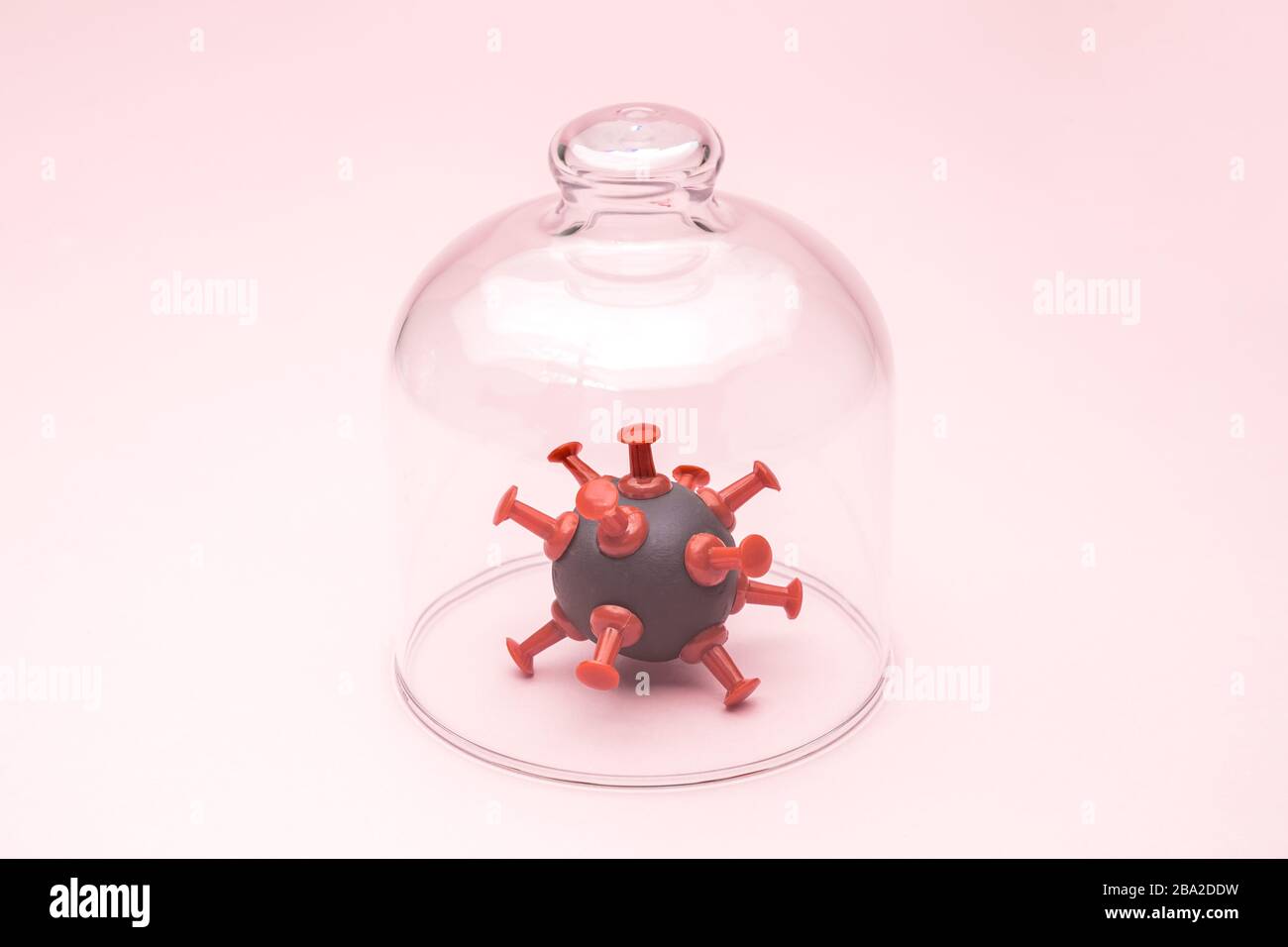 Cellula di coronavirus isolata sotto copertura di vetro contro sfondo rosa pastello minimal creativo covid-19 pandemico concetto creativo. Foto Stock