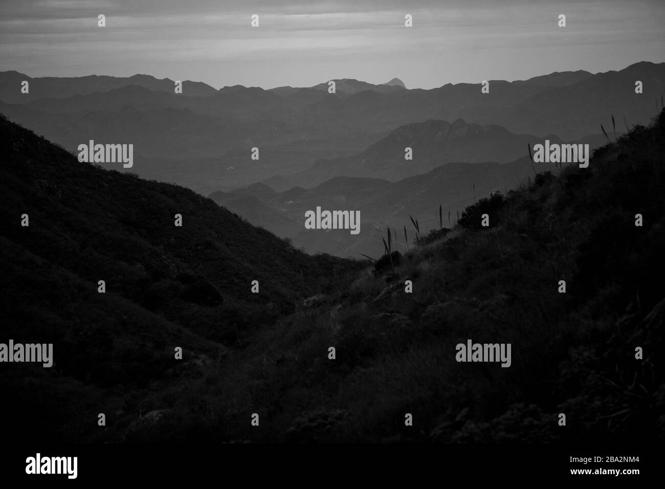 Paesaggio della Sierra Lampazos a Tepache, sonora. Sierra de sonora Messico. Colline e montagne. Sierra situata nella parte centrale dello Stato di sonora, a 300 chilometri dal confine con gli Stati Uniti ad Agua Prieta. E' inoltre a 250 chilometri dalla capitale dello stato, Hermosillo. 1,500 metri sul livello del mare. Confina a nord con Divisaderos e Moctezuma, a est con Nácori Chico, a sud con Sahuaripa e a sud con San Pedro de la Cueva. Atardecer, Anocecer, cielo azul. Tramonto, crepuscolo, cielo blu (Foto di Luis Gutierrez / NortePhoto.com) Paisaje de la Sierra Lampazos en Foto Stock
