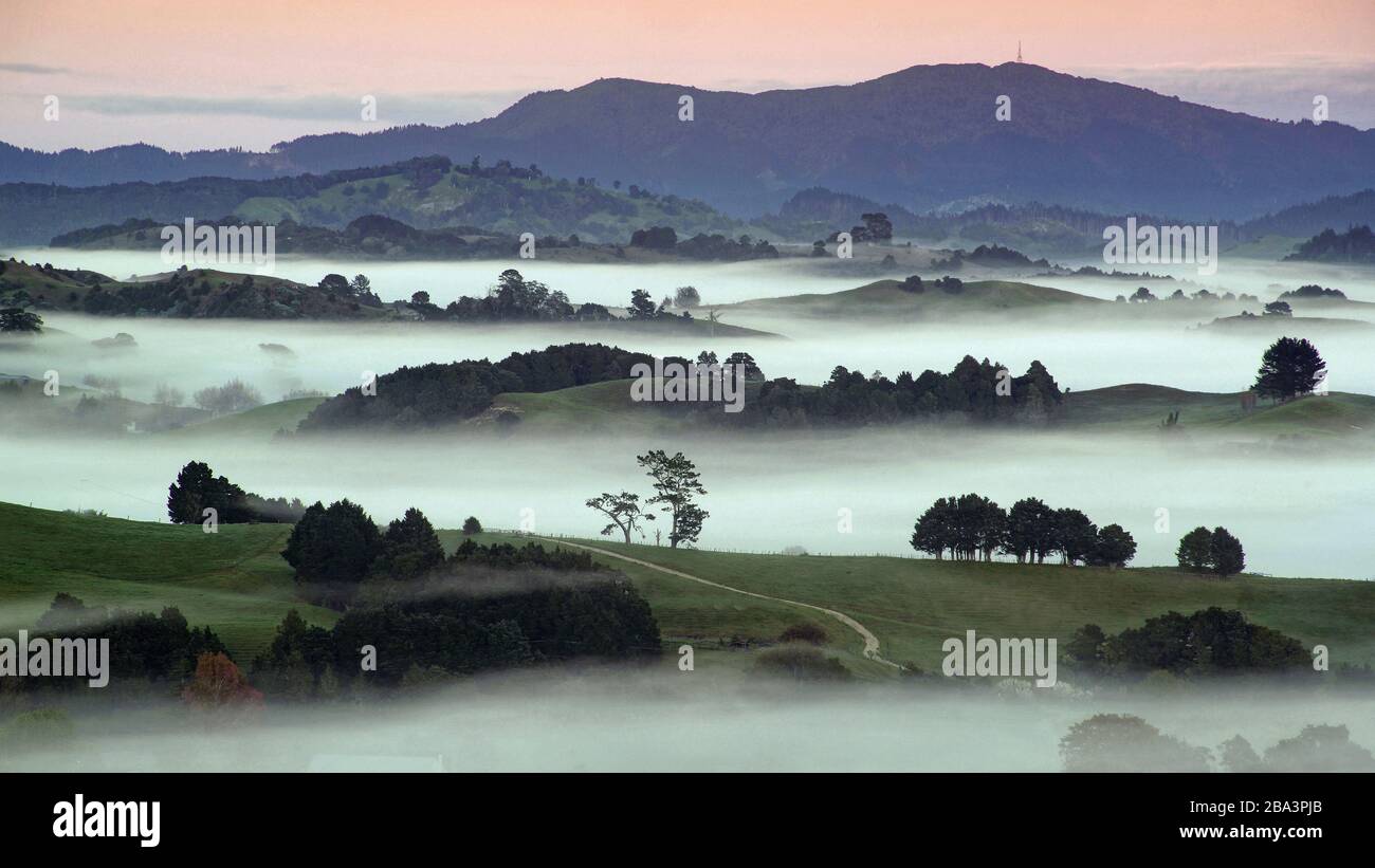 Neuseeland, Nordinsel, Landschaft im Nebel, Foto Stock