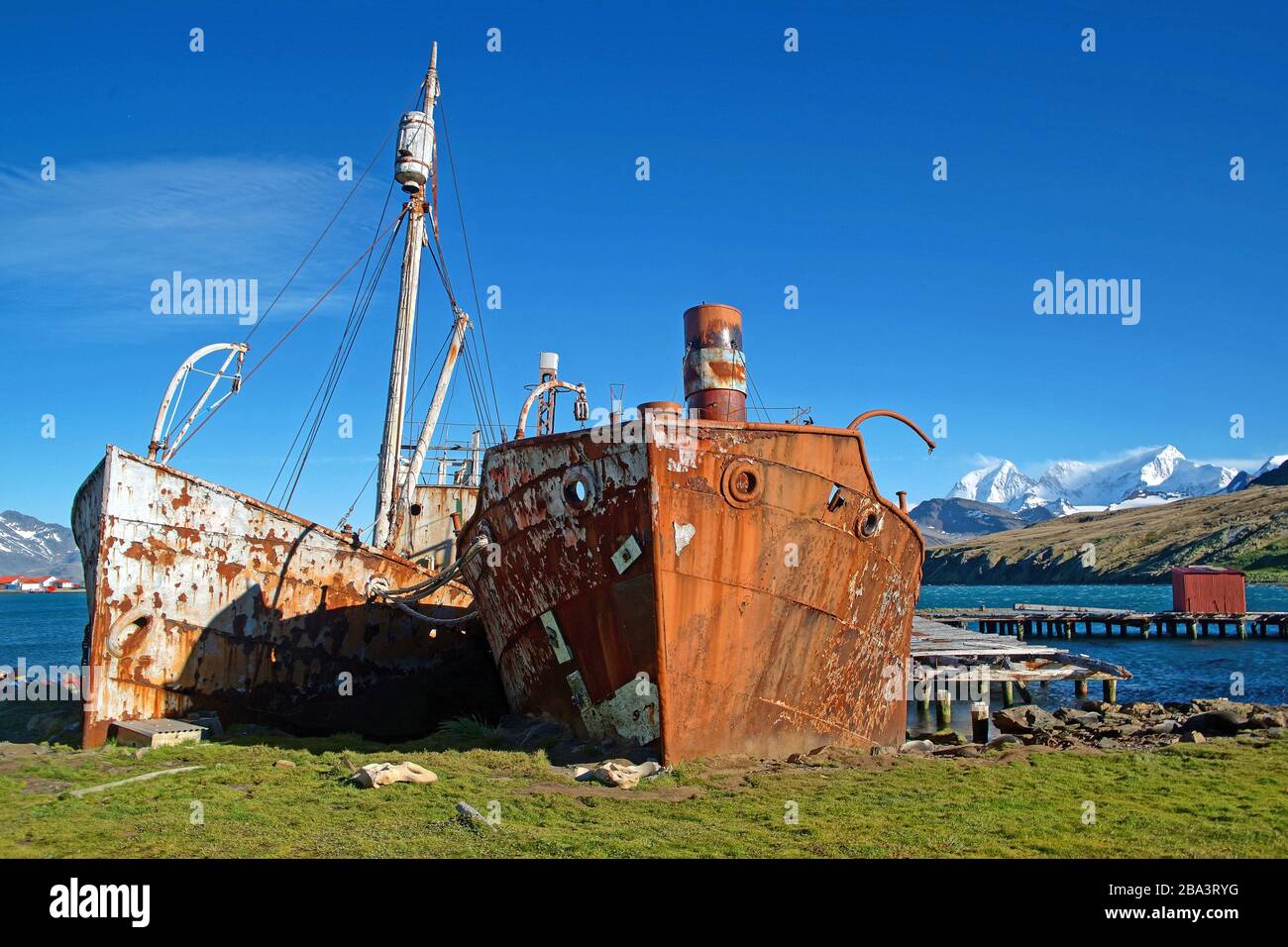 Suedamerika, Antartis, Suedgeorgien, Grytviken, Ehemalige Walfangstation Foto Stock