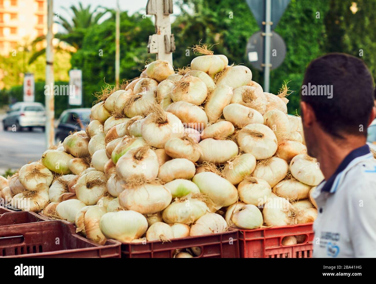 Mazzo di cipolle bianche al mercato Foto Stock