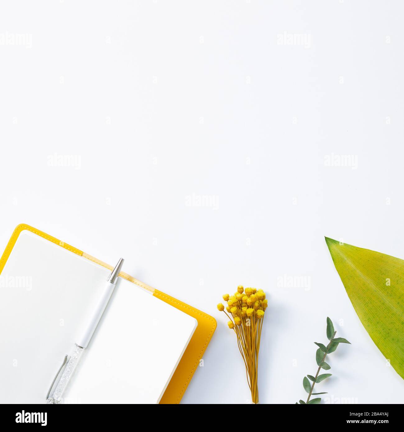 Luogo di lavoro e di studio, forniture per ufficio con decorazione floreale. Disposizione piana, vista dall'alto, spazio copia Foto Stock