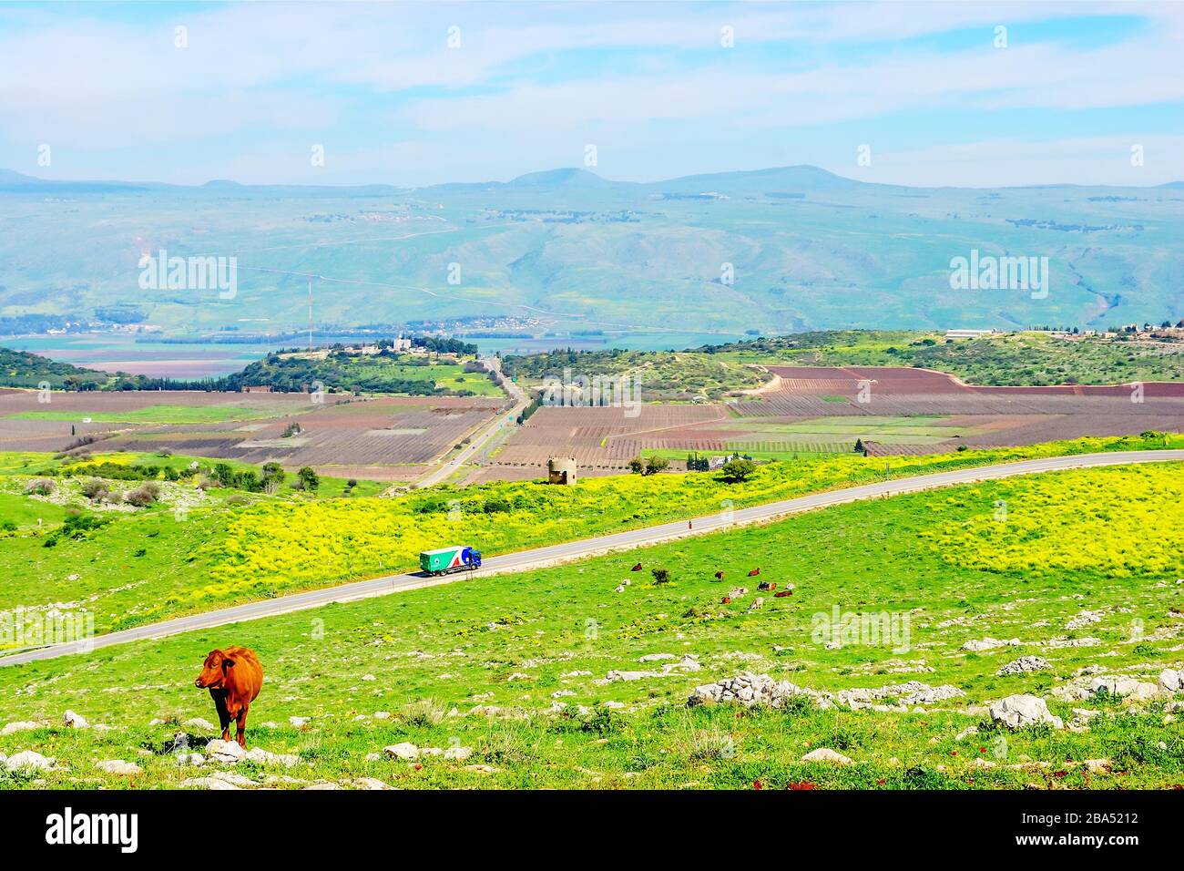 La molla del paesaggio. Foto Stock