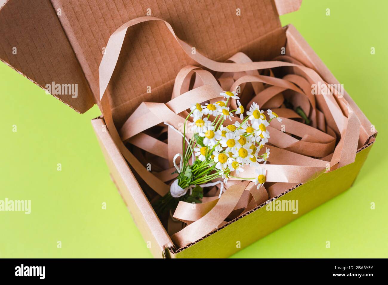 Composizione della molla. Scatola di cartone con fiori e nastro su sfondo verde brillante Foto Stock