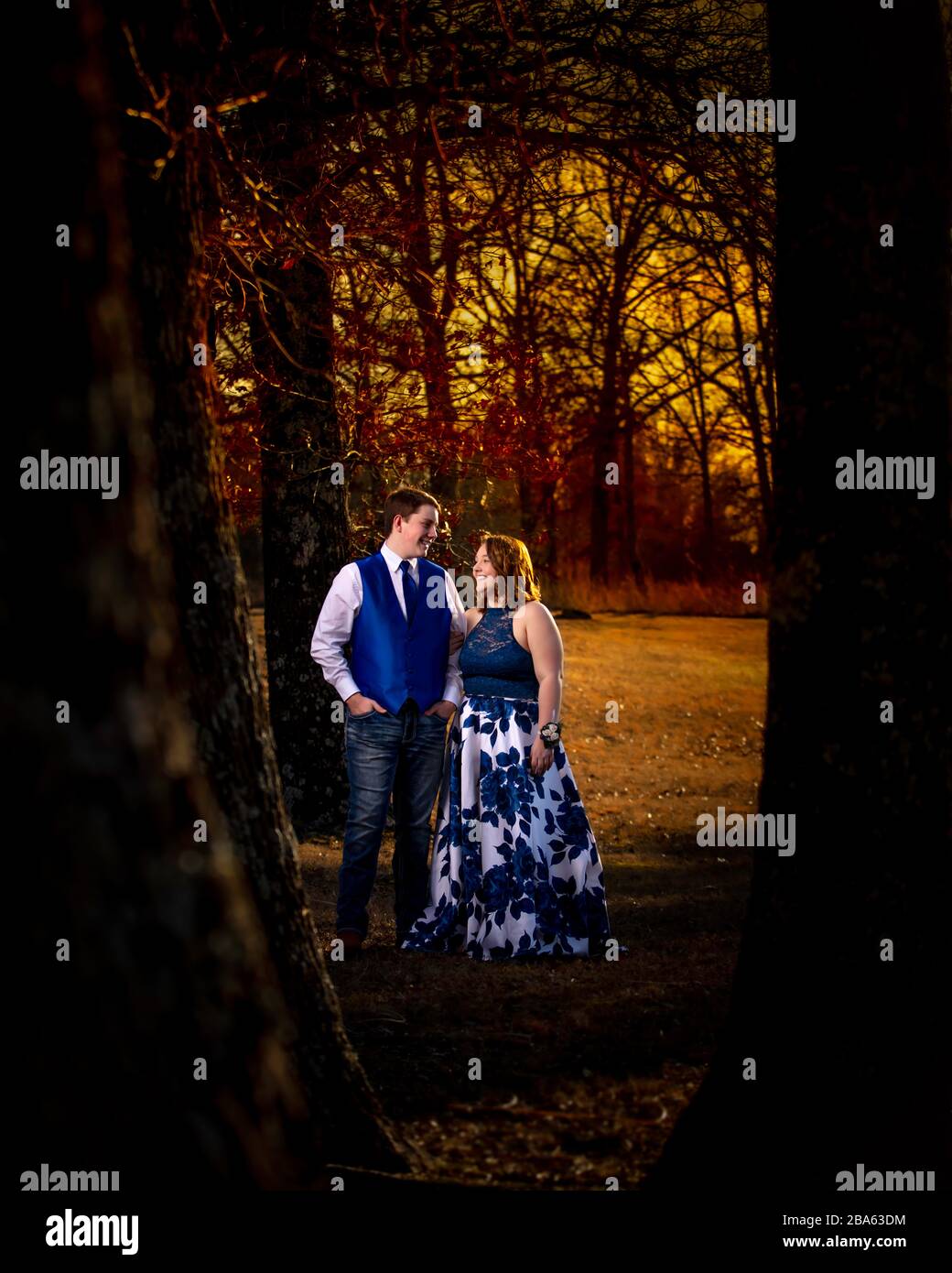 Una passeggiata romantica attraverso una foresta magica. Foto Stock