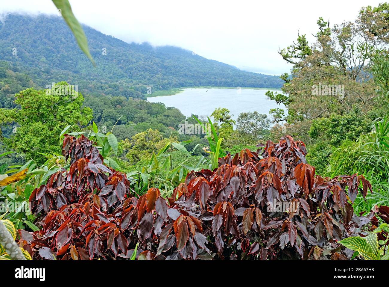 Lago Danau Buyan, Bali, Indonesia Foto Stock