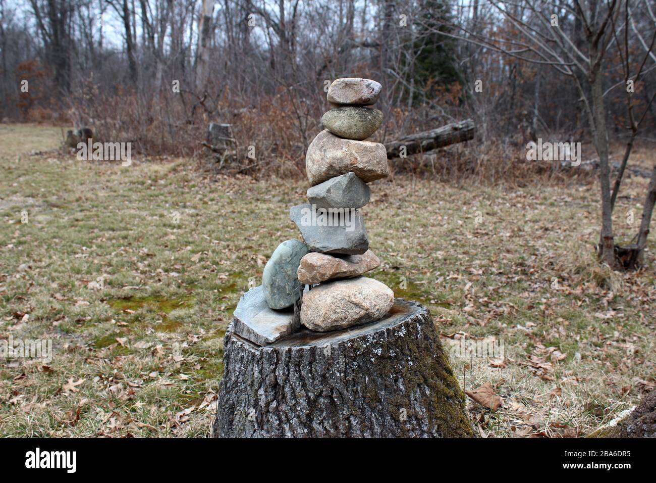 Un precario Rock Stack su UN albero Stump Foto Stock