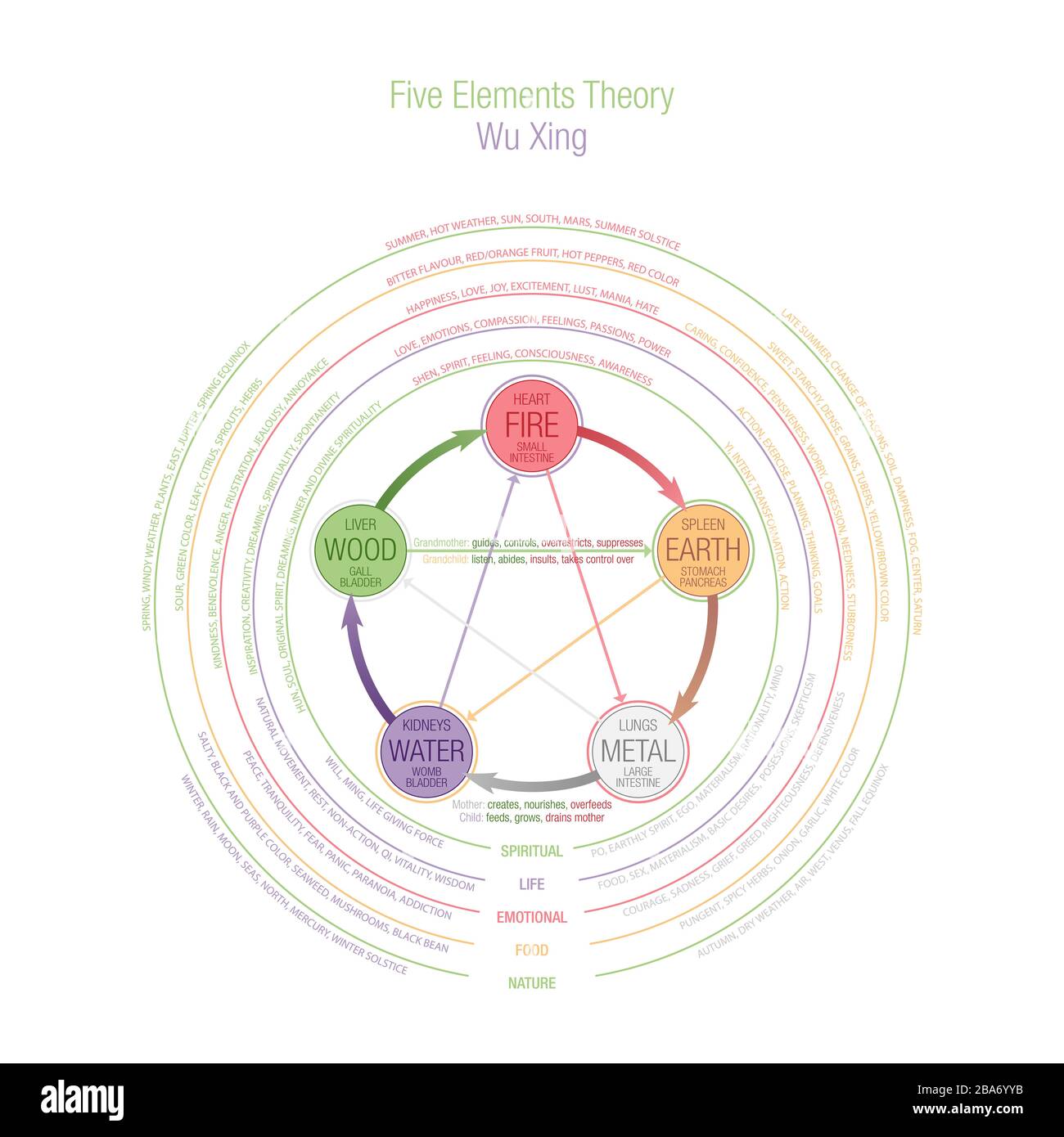 Grafico concettuale della teoria dei cinque elementi. Wuxing, Wu Xing in Taoismo e Medicina tradizionale Cinese, TCM. L'illustrazione presenta più livelli Foto Stock
