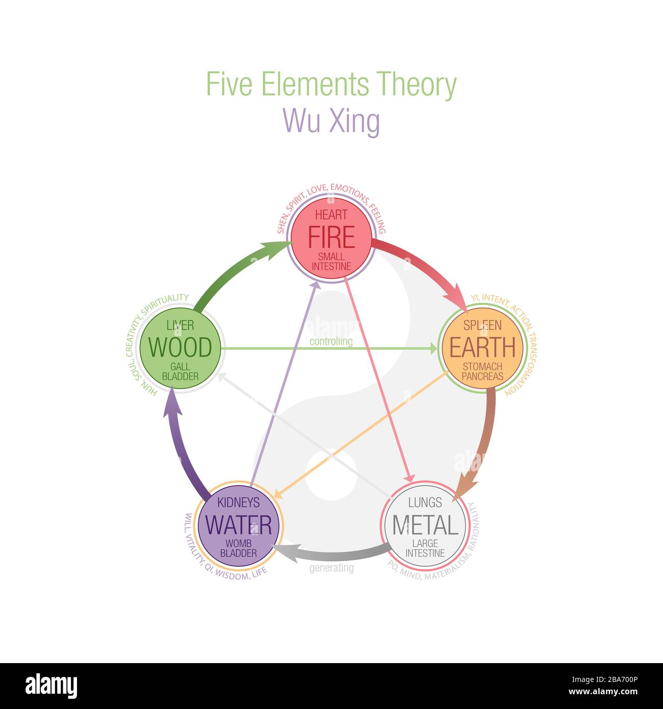 Illustrazione a colori della teoria dei cinque elementi. Wuxing, Wu Xing, 5 elementi in Daoismo e TCM, Medicina tradizionale Cinese. Illustrazione concettuale, colore Foto Stock