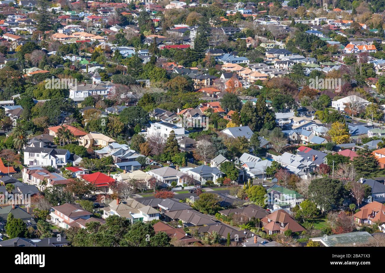 Una vista aerea delle case nel sobborgo di Mount Albert ad Auckland, Nuova Zelanda. Foto Stock