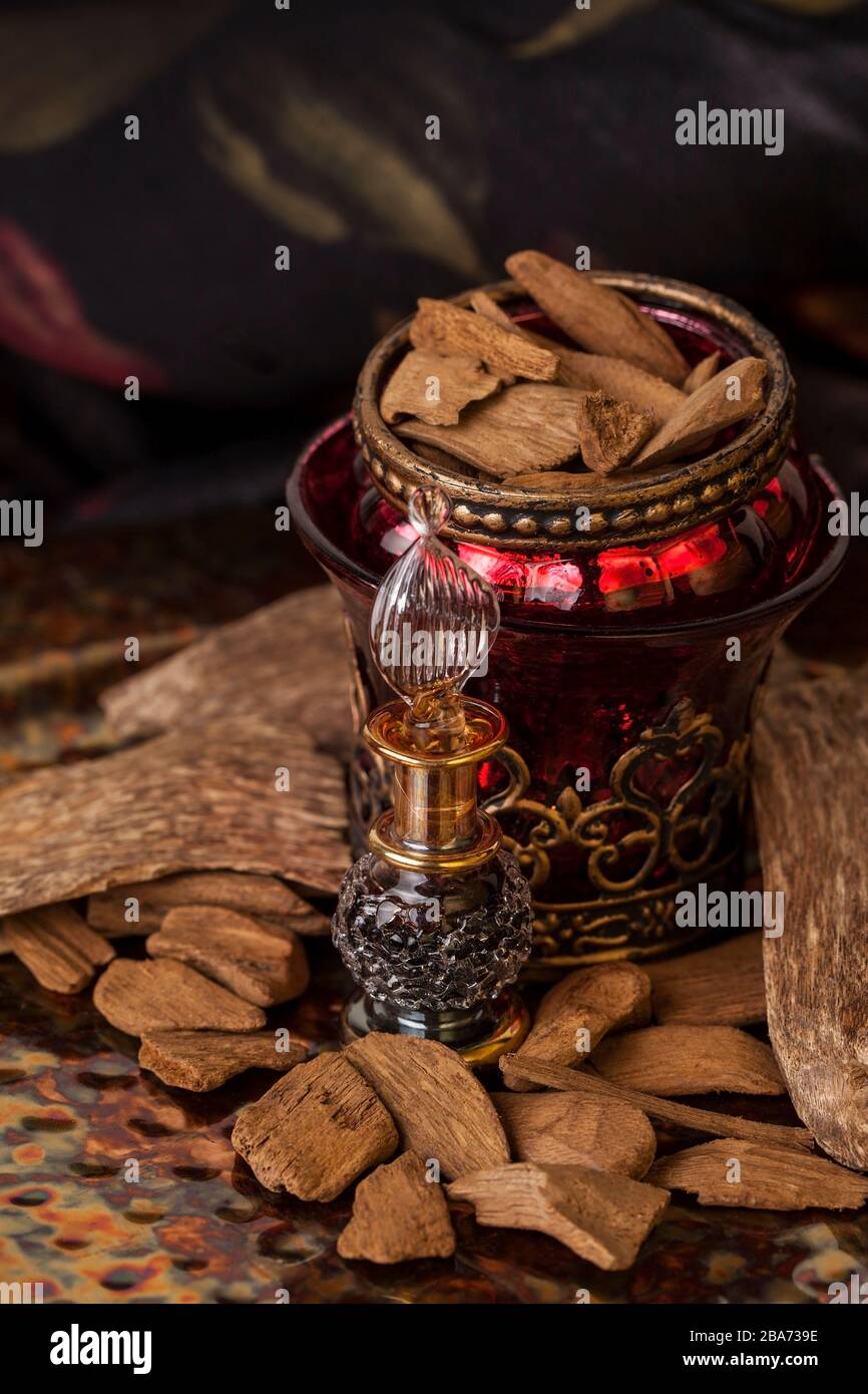 Legno di agar, chiamato anche aloeswood, olio essenziale di incenso e trucioli Foto Stock