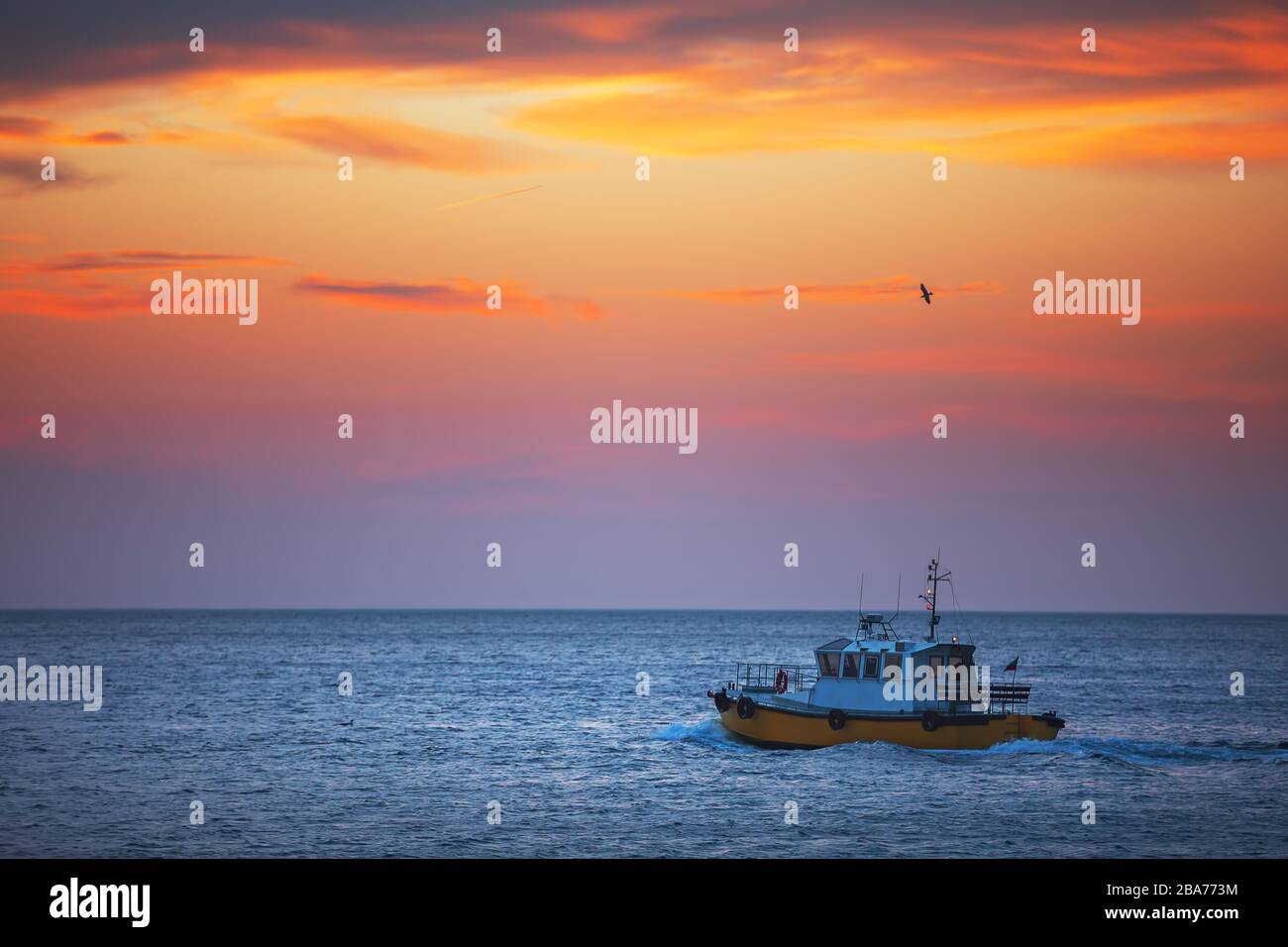 Pattuglia barca a vela all'alba in acqua di mare Foto Stock
