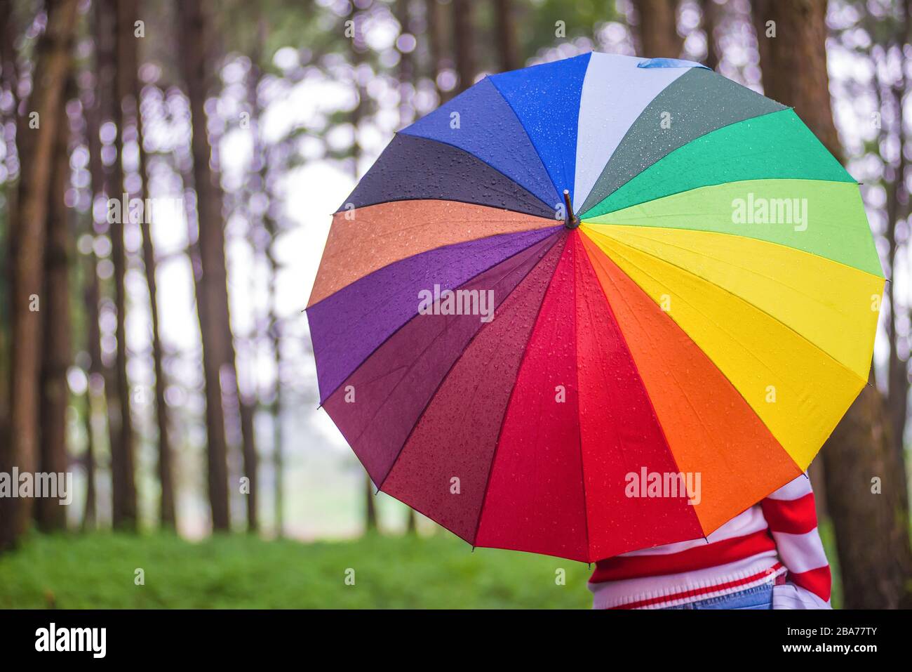 Belle donne con ombrello colorato in piedi in autunno parco a pineta Foto  stock - Alamy