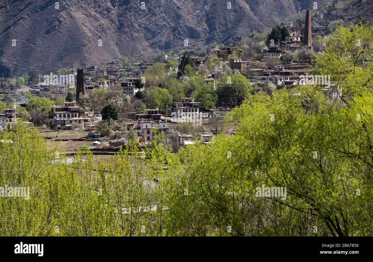 Chengdu. 25 Marzo 2020. La foto scattata il 25 marzo 2020 mostra lo scenario del villaggio tibetano nella contea di Dalba, nella provincia del Sichuan della Cina sudoccidentale. I villaggi tibetani di Dalba sono famosi per le loro meravigliose torri di guardia e le tradizionali case simili a fortezza tibetana, che costituiscono un paesaggio notevole con l'ambiente naturale circostante. Credit: Jiang Hongjing/Xinhua/Alamy Live News Foto Stock